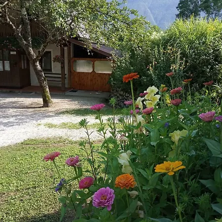 House Zeleni Gaj Holiday home Bovec