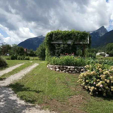 House Zeleni Gaj Holiday home *